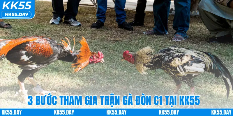 Đá Gà Đòn C1 – Khám Phá Sân Chơi Đỉnh Cá Cược Cao Tại KK55 5 3 bước tham gia trận gà đòn C1 tại KK55