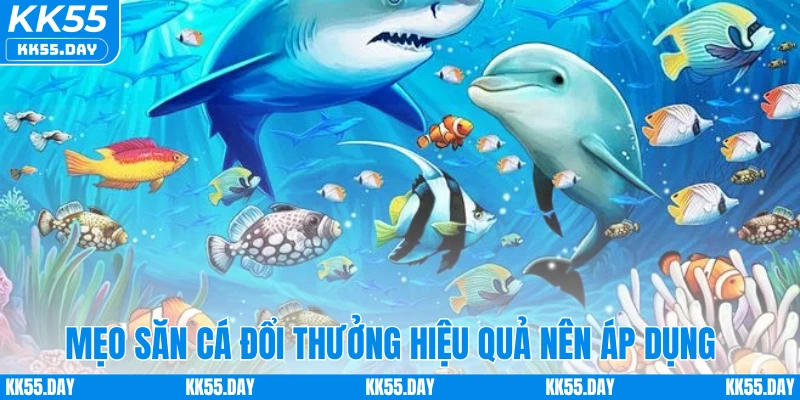 Game Bắn Cá Đổi Thưởng - Game Giải Trí Đổi Thưởng Hot Hit 4 Mẹo săn cá đổi thưởng hiệu quả nên áp dụng