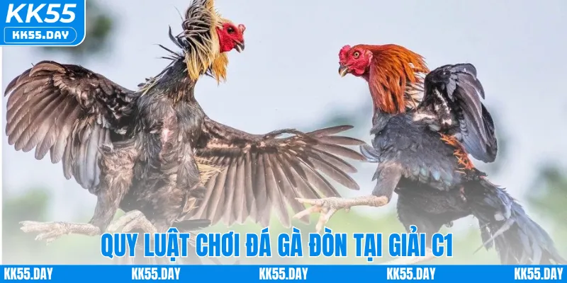 Đá Gà Đòn C1 – Khám Phá Sân Chơi Đỉnh Cá Cược Cao Tại KK55 4 Quy luật chơi đá gà đòn tại giải C1
